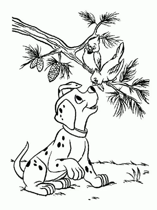 Filhote Dálmata observa passarinhos em árvore: Desenho para colorir com os 101 Dálmatas.