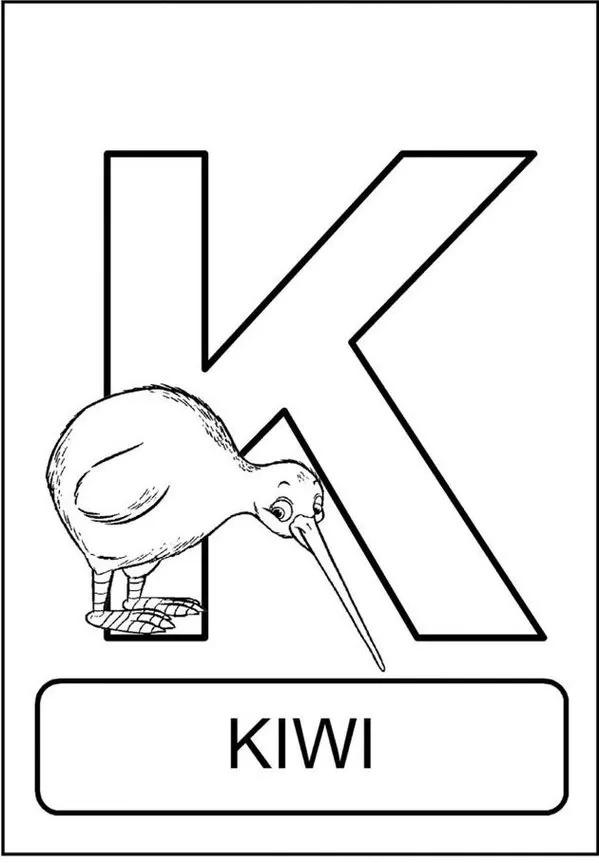 Kiwi da Nova Zelândia e a letra K: Alfabeto animal divertido para crianças. Aprenda brincando com a fauna da Oceania.