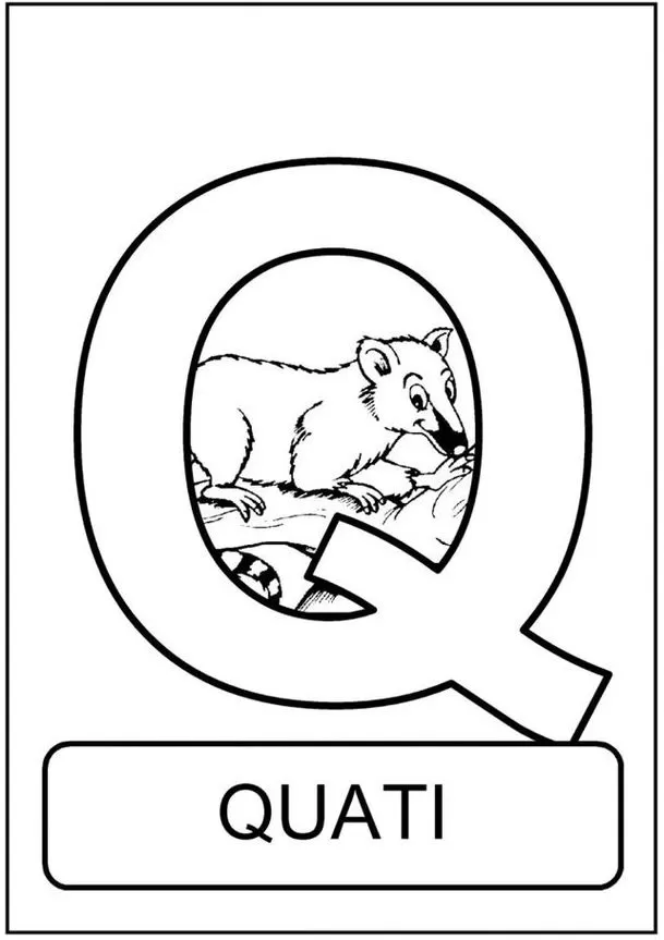 Quati na letra Q: Descubra o alfabeto animal e aprenda sobre este curioso mamífero da América do Sul. Imagem com quati dentro da letra Q.