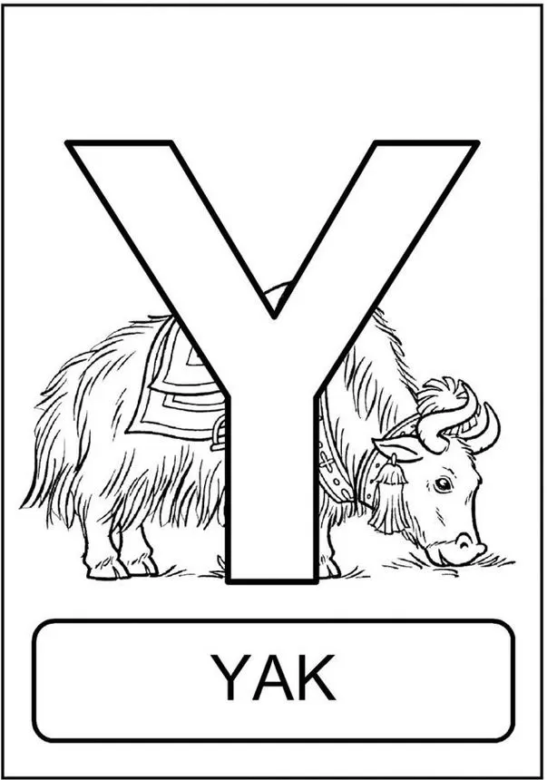 Iaque (Yak) representando a letra Y: Alfabeto divertido com animais. Desenho adorável de iaque para materiais didáticos sobre o alfabeto.