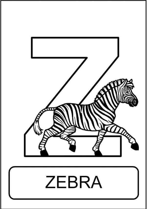 Zebra listrada formando a letra Z no alfabeto animal. Aprenda de forma divertida com a zebra, ideal para materiais didáticos e o público jovem.