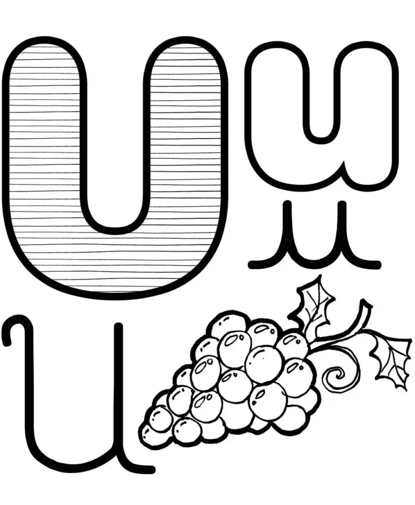 Letra U: Grafismos do alfabeto e cacho de uvas.
