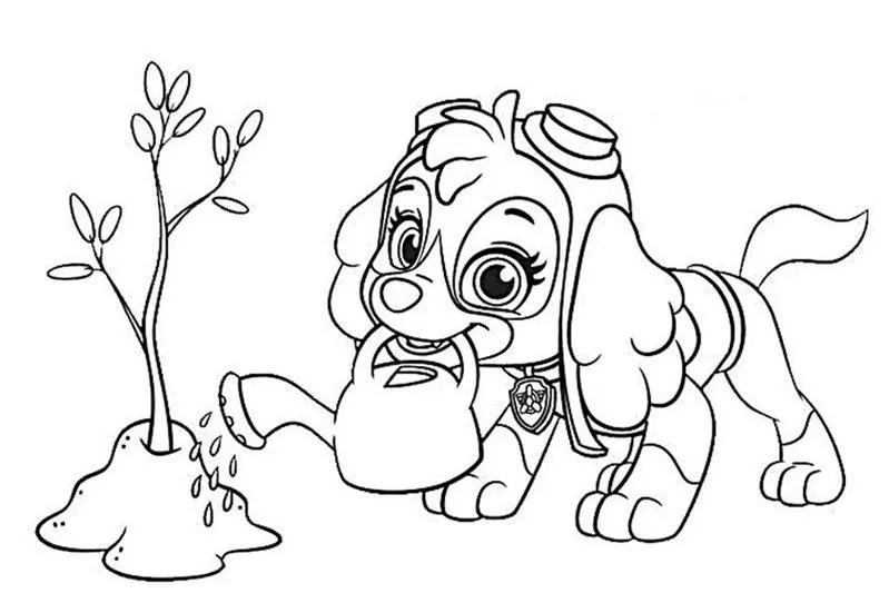 Skye da Patrulha Canina cuidando das plantas: atividade de colorir. Desenho da Skye regando uma plantinha, ideal para a diversão das crianças.