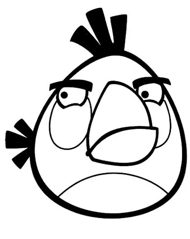 Desenho da Matilda dos Angry Birds para colorir: foco no rosto expressivo, com olhos detalhados, sobrancelhas franzidas e bico característico.