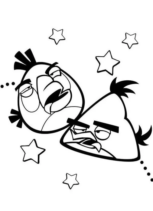 Angry Birds Matilda e Chuck: Desenho para colorir com estrelas