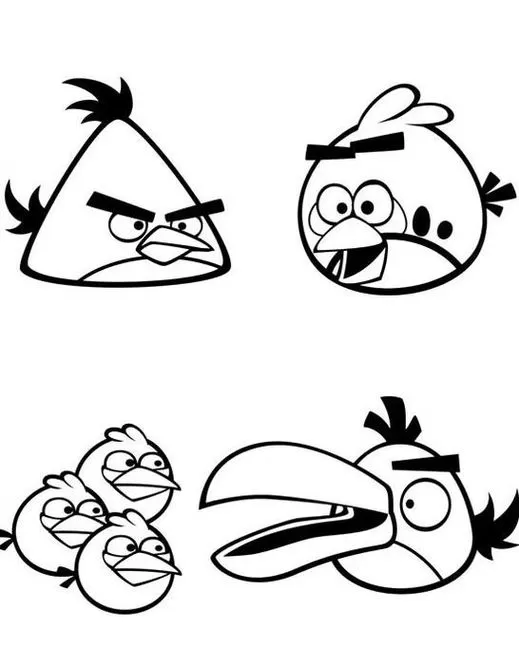 Angry Birds para colorir: diversos pássaros com expressões variadas.
