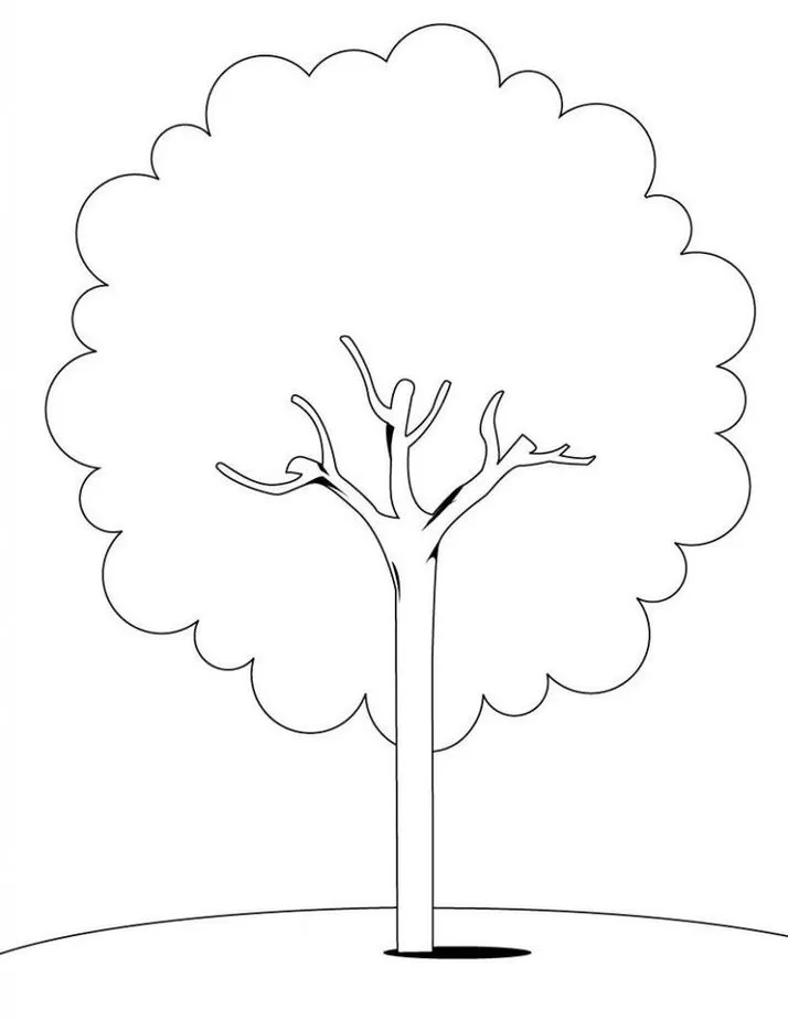 Desenho de árvore imponente para colorir: tronco reto, copa arredondada e formas orgânicas. Ideal para atividades artísticas.