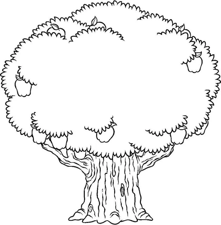 Desenho de árvore frutífera com maçãs para colorir: Detalhes do tronco, raízes e folhagem vibrante.