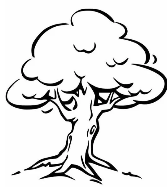 Desenho de árvore para colorir: copa frondosa, tronco detalhado e raízes no chão. Atividade criativa com a natureza.
