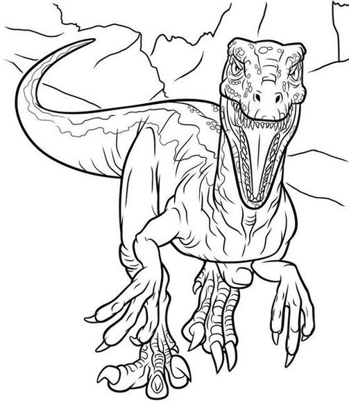 Dinossauro Velociraptor correndo para colorir. Detalhe de um raptor com garras afiadas e corpo musculoso em meio a rochas.