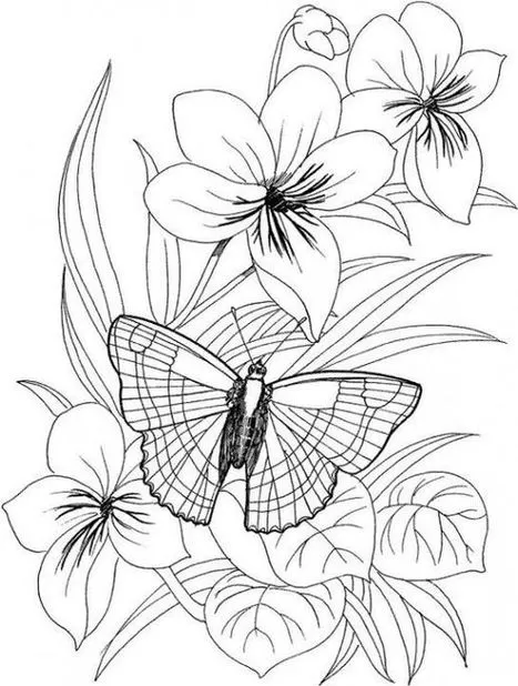 Desenho artístico de flores e borboleta com detalhes encantadores, perfeito para atividades criativas.