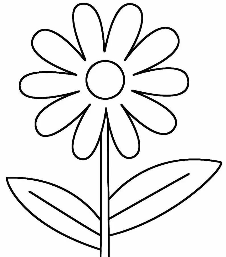Margarida detalhada para colorir: explore a beleza da natureza com este desenho de flor com pétalas, centro, caule e folhas.