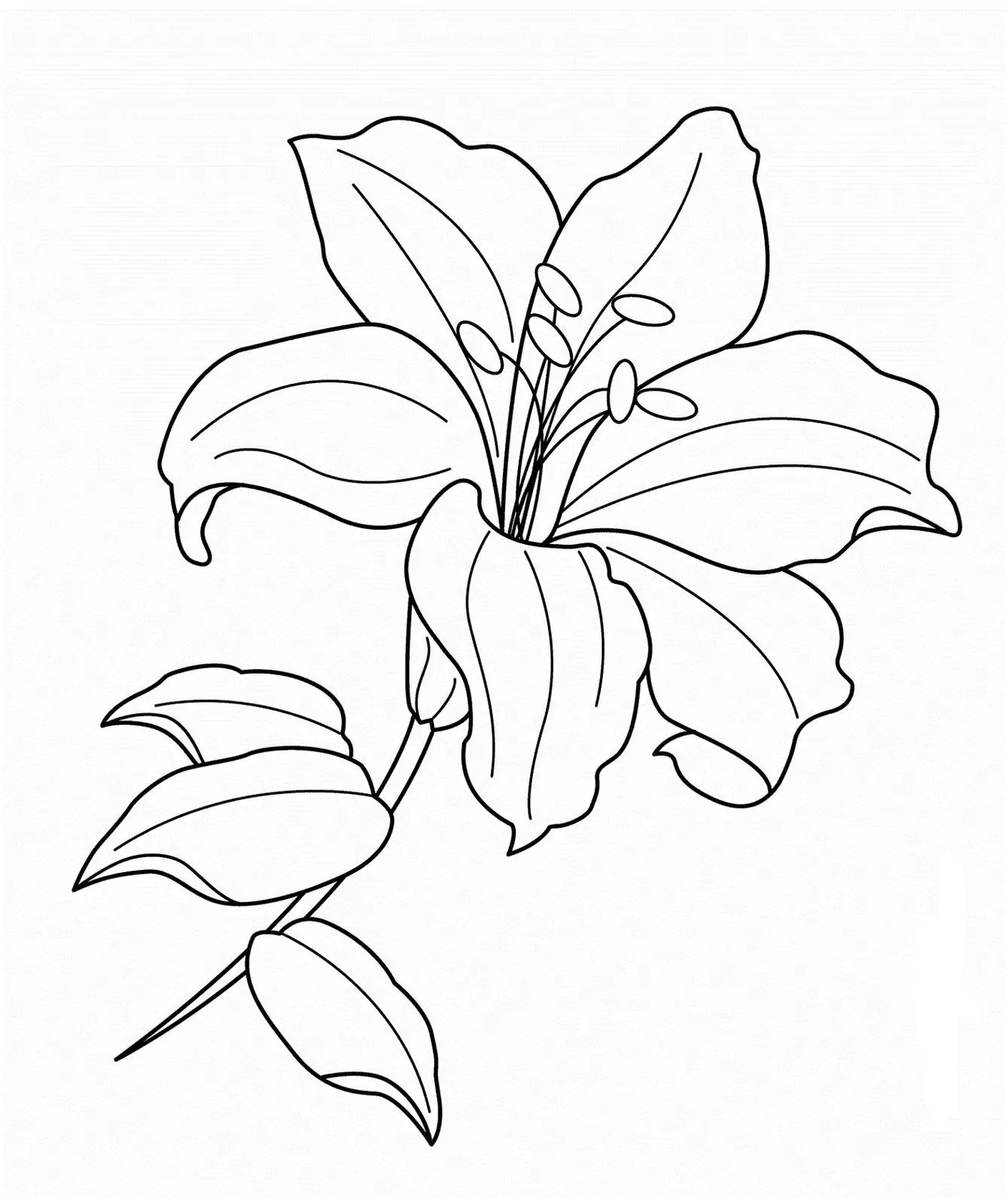 Lírio para colorir: explore a beleza das flores através da arte. Detalhes de pétalas, estames e folhas em desenho floral pronto para sua criatividade.