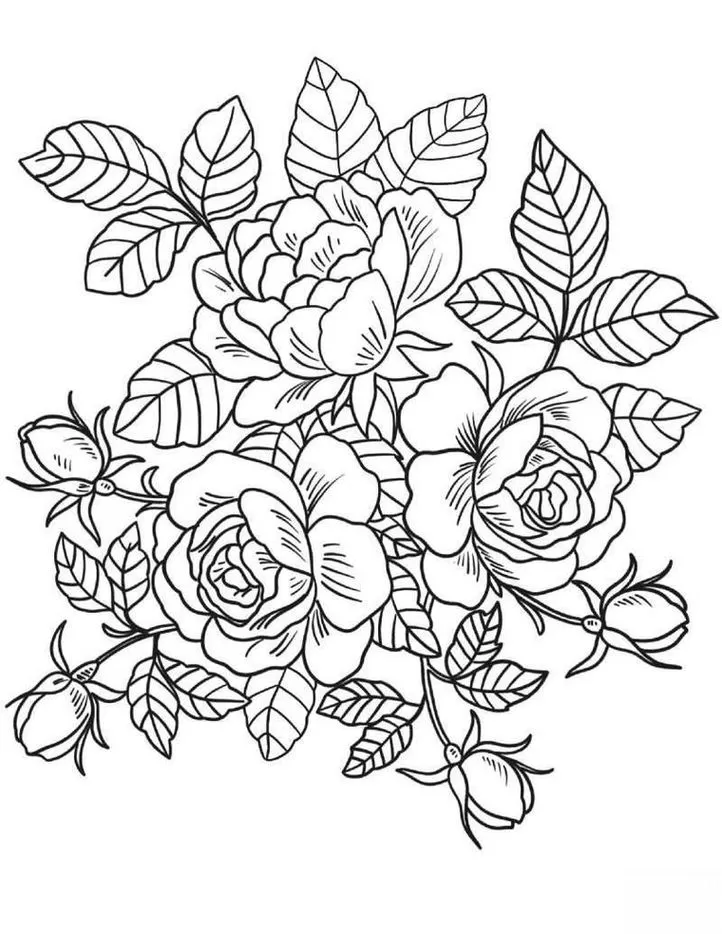 Desenho de ramo floral com rosas abertas e botões para colorir. Arte com detalhes de folhas e pétalas.