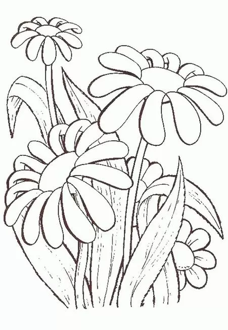 Desenho de margaridas para colorir: explore a beleza floral com pétalas, caule e folhas em diferentes fases de floração. Atividade relaxante e criativa com margaridas.