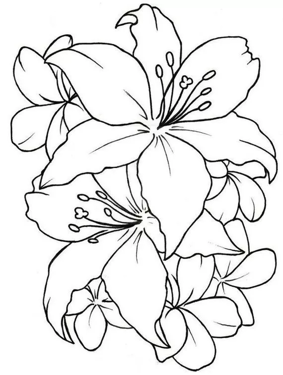 Desenhos de Rosas e Flores para Colorir: Variedade floral em estilo artístico, com lírios e arranjos densos, perfeito para relaxamento e atividades criativas.