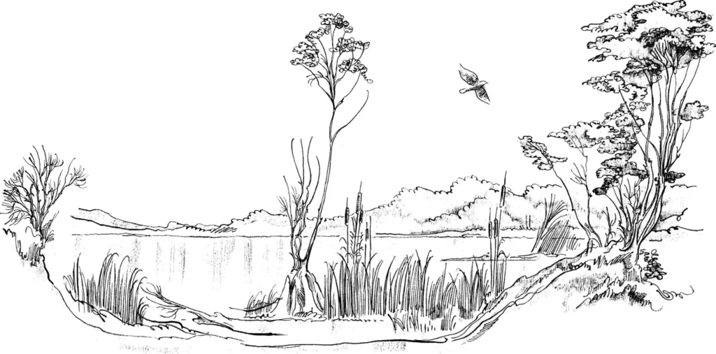 Desenho de paisagem com lago para colorir: natureza calma com montanhas e vegetação.