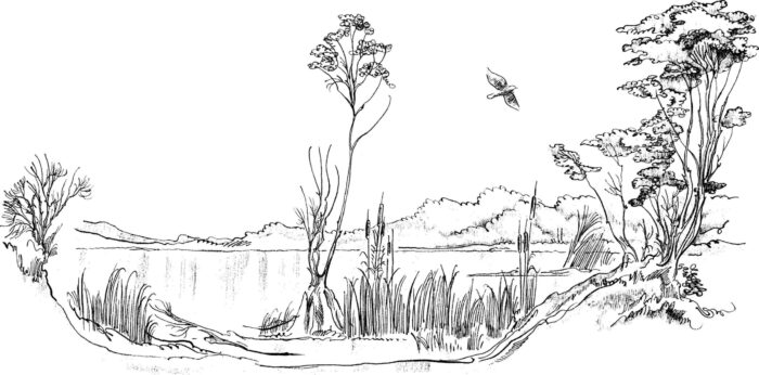 Desenho de paisagem com lago para colorir: natureza calma com montanhas e vegetação.