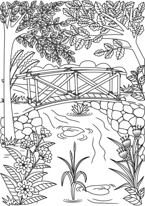 Paisagem relaxante com ponte de madeira sobre lago para colorir. Desenho detalhado de natureza exuberante e calma.