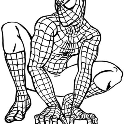 Homem Aranha Desenhos para colorir