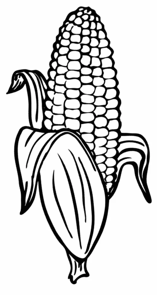 Desenho de milho para colorir: Festa Junina e São João
