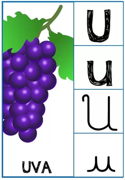Letra U para colorir: Uva e diferentes estilos da letra U.