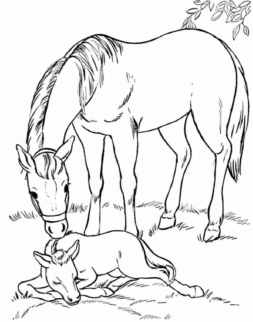 Desenho de égua e filhote para colorir: cena campestre com mãe cavalo e potro descansando.