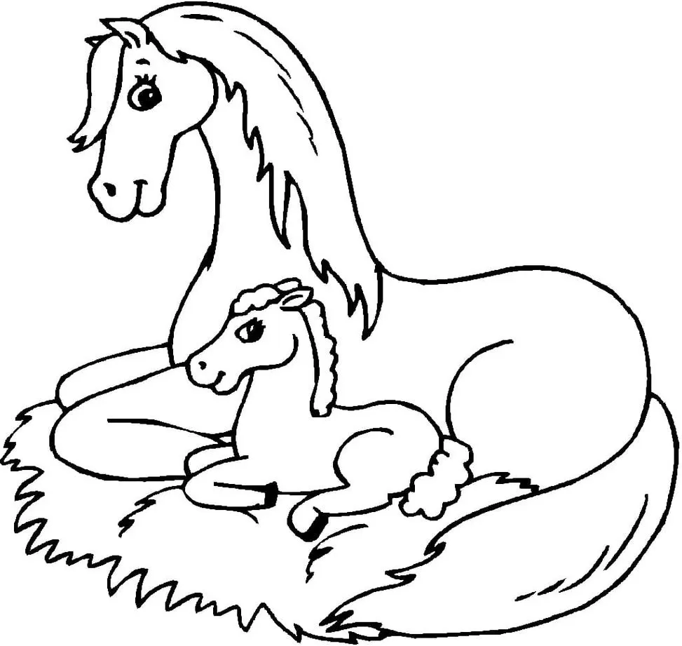 Desenhos para colorir de menino a cavalo pulando cerca - Desenhos para  colorir gratuitos para imprimir