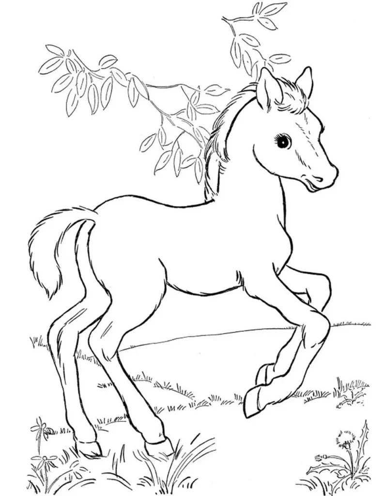 Desenho de Potro na Floresta para Colorir: Imprima e Divirta-se!