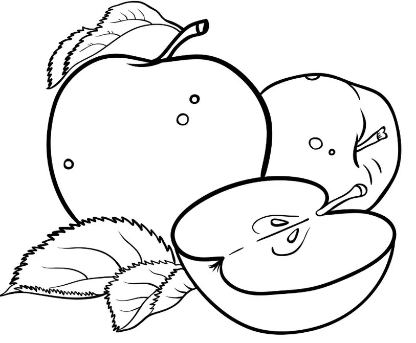 Desenhos de Maças para imprimir e colorir Maça cortada Desenho de maçãs: maçã inteira, maçã com folhas e maçã cortada para colorir.