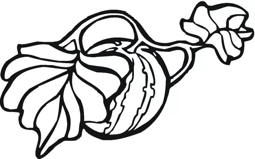 Melancia com Folhas: Desenho para Colorir e Imprimir