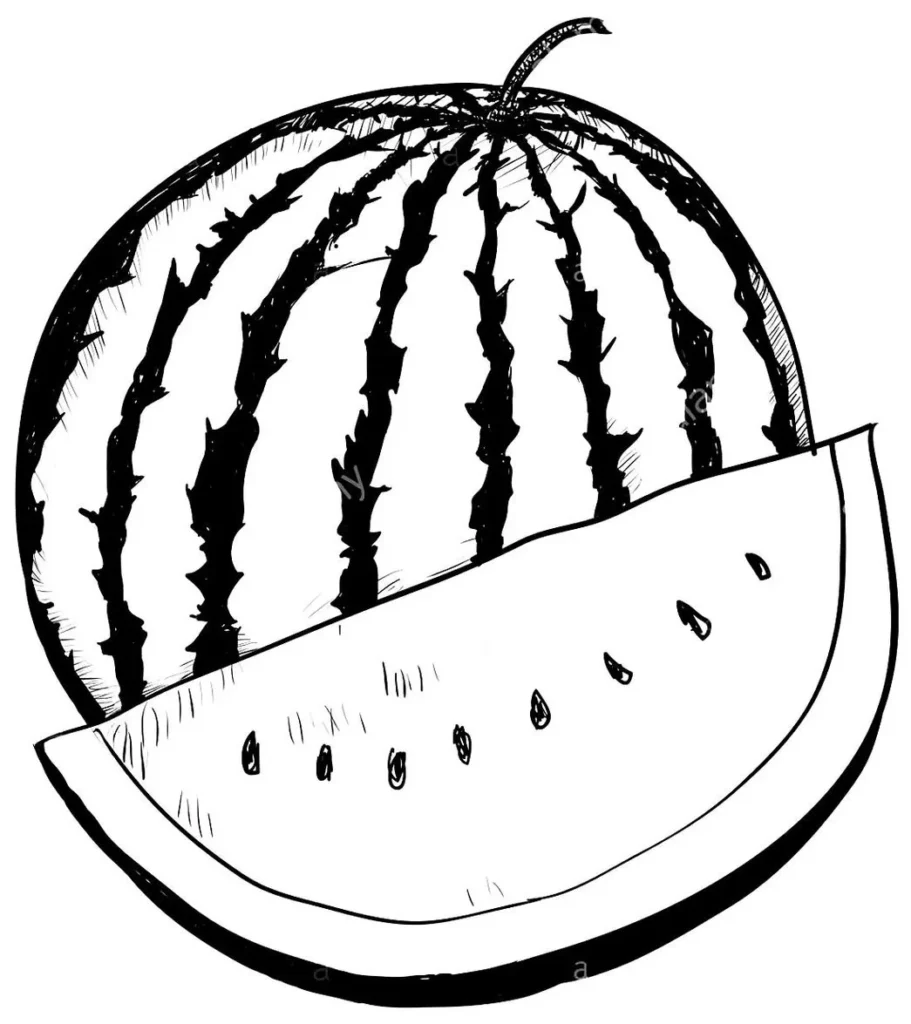 Melancia para Colorir e Imprimir: Desenho Detalhado de Fruta