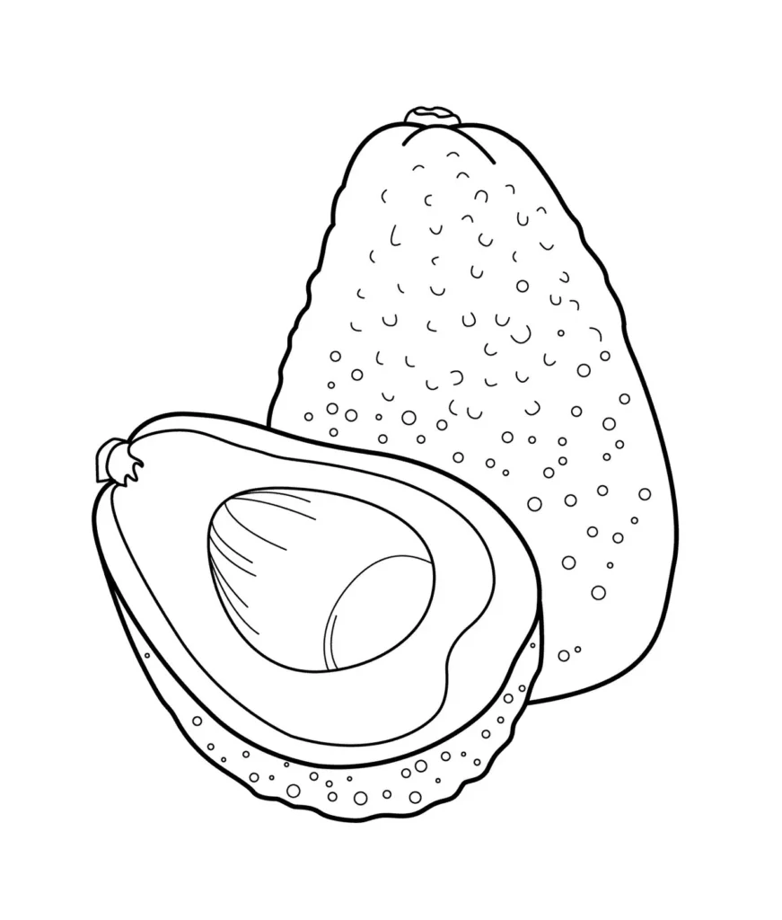 Desenhos de Abacates para imprimir e colorir Abacate cortado Abacates para Colorir: Desenho de Abacate Cortado e Inteiro