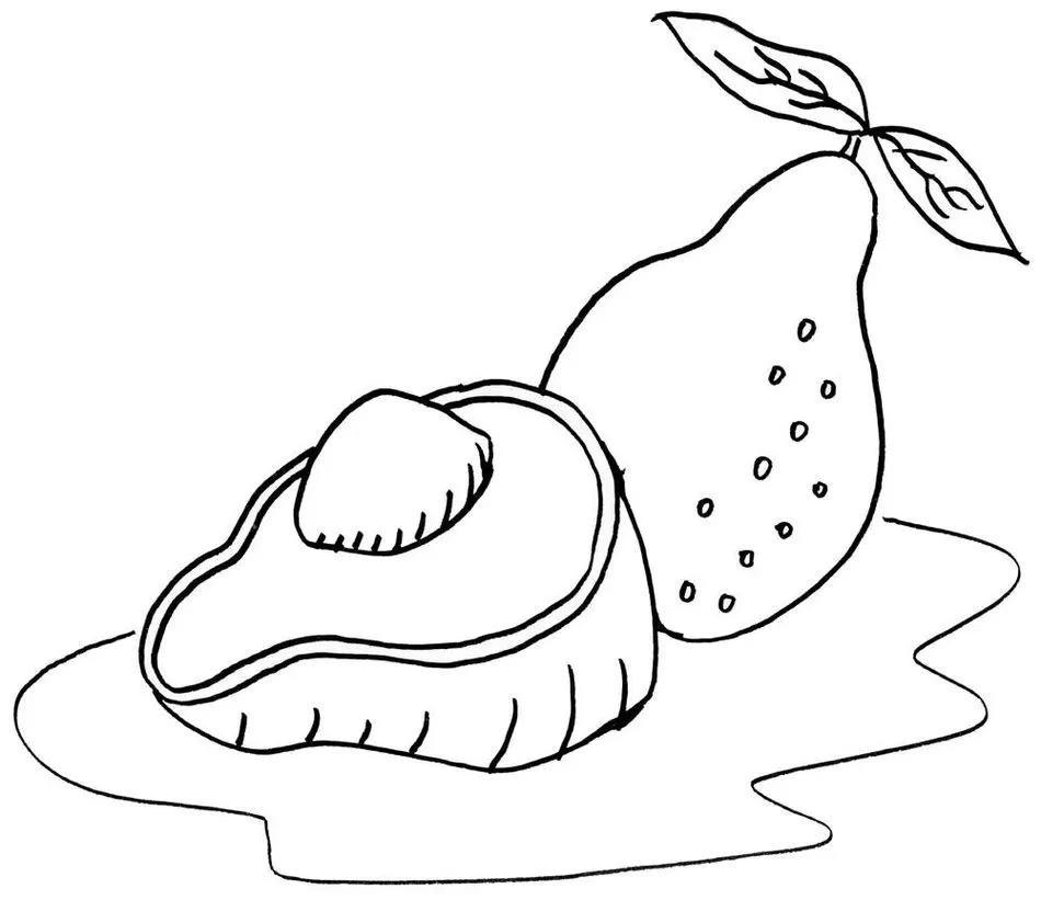 Desenhos de Abacates para imprimir e colorir Caroço do abacate Abacates para Colorir: Desenho com abacate inteiro e metade com caroço