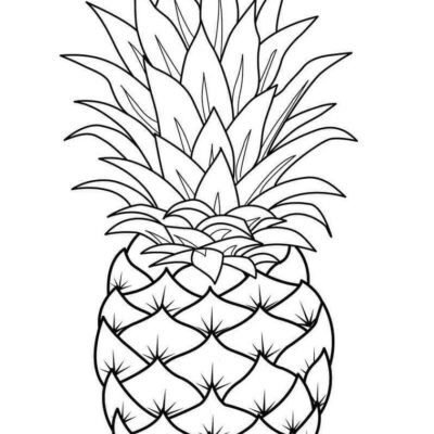 Abacaxis Desenhos para colorir