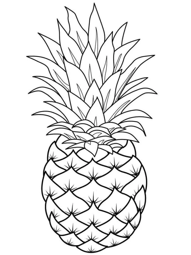 Abacaxi para colorir: desenho detalhado de fruta tropical com coroa de folhas.