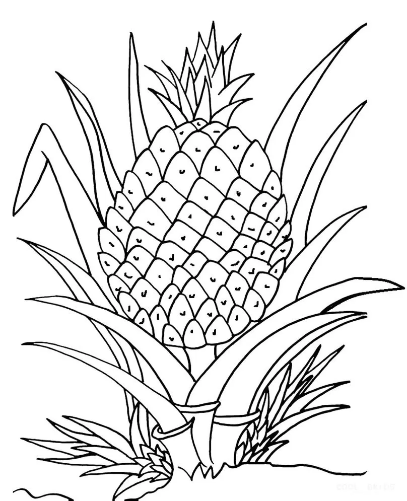 Abacaxi Maduro para Colorir: Detalhes do Fruto e Vegetação