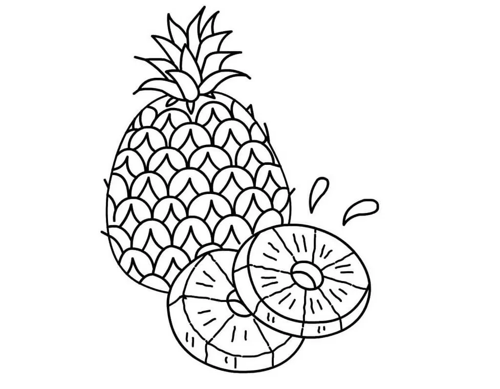 Abacaxi para colorir: Desenho detalhado de abacaxi inteiro e rodelas suculentas.