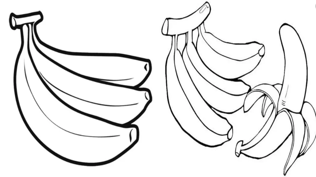 Desenhos de Bananas para imprimir e colorir Várias bananas Desenhos de bananas para colorir: cacho de bananas e banana descascada.