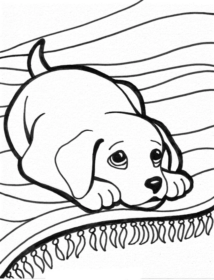 Desenho Para Colorir cachorro - Imagens Grátis Para Imprimir - img 17533