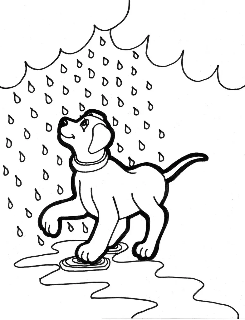 Cachorro na chuva para colorir: atividade divertida com desenho de cão molhado.