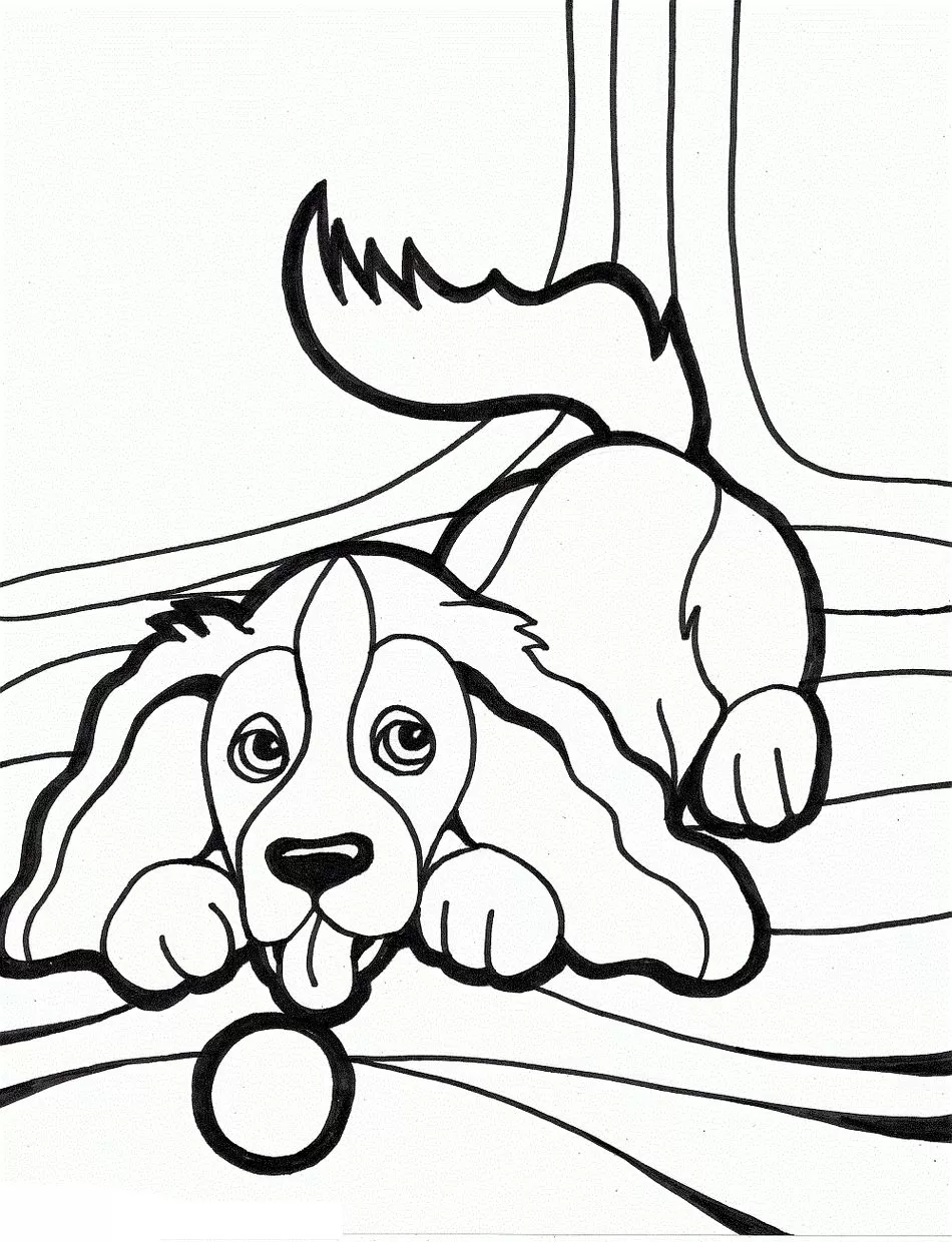 Cachorro Brincando com Bola: Desenho para Colorir e Relaxar