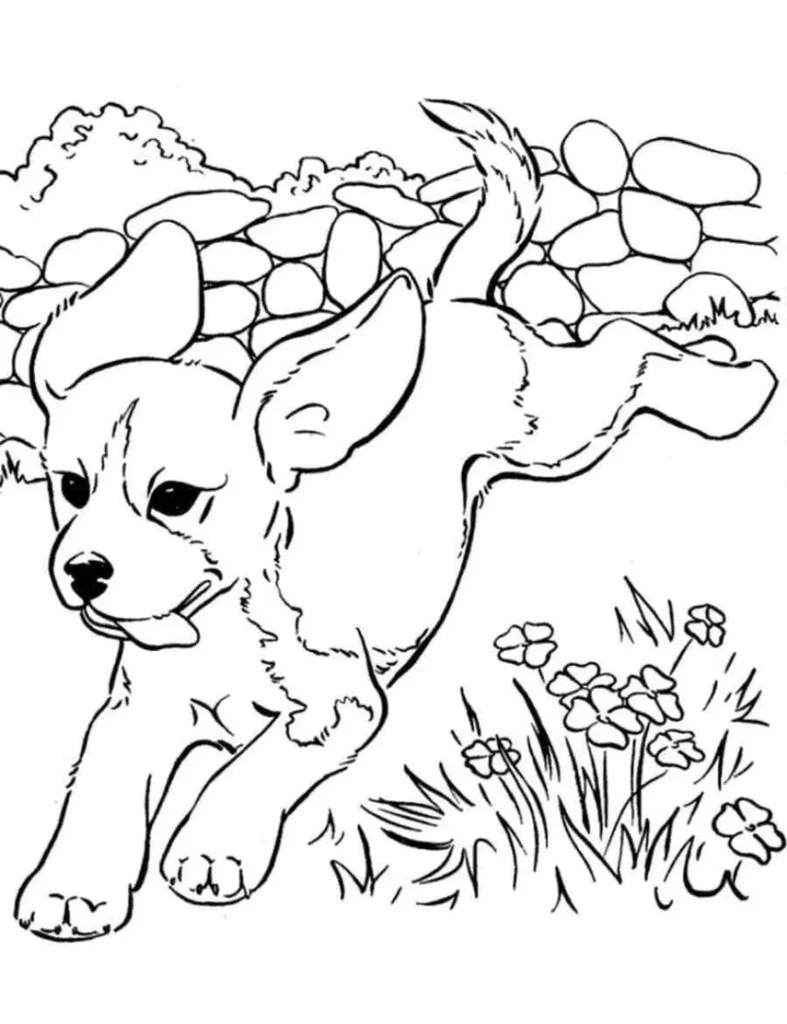 Cachorro correndo no campo: Desenho para colorir e estimular a criatividade.