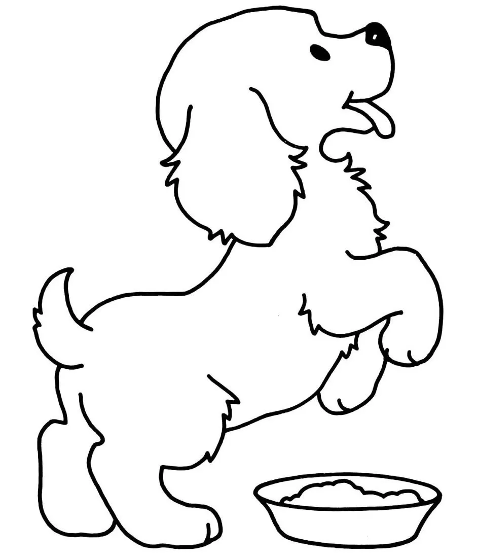 Cachorro Faminto Pedindo Comida: Desenho para Colorir e Alegrar