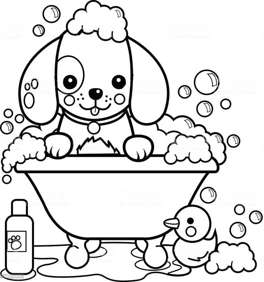 Cachorro tomando banho: desenho divertido para colorir
