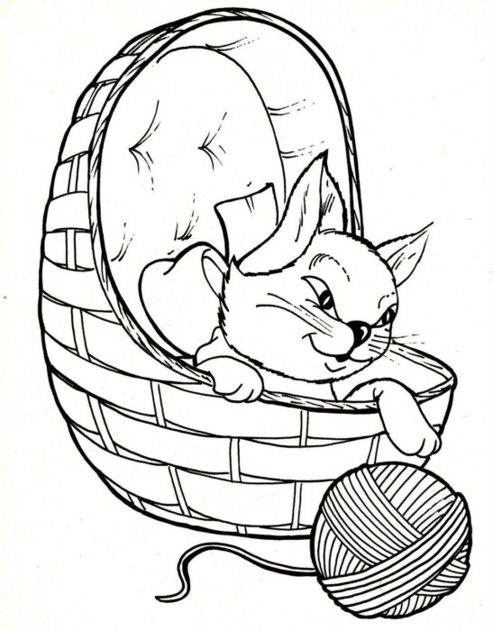 Gato bravo em cesto: Desenhos para colorir e relaxar com felinos astutos.