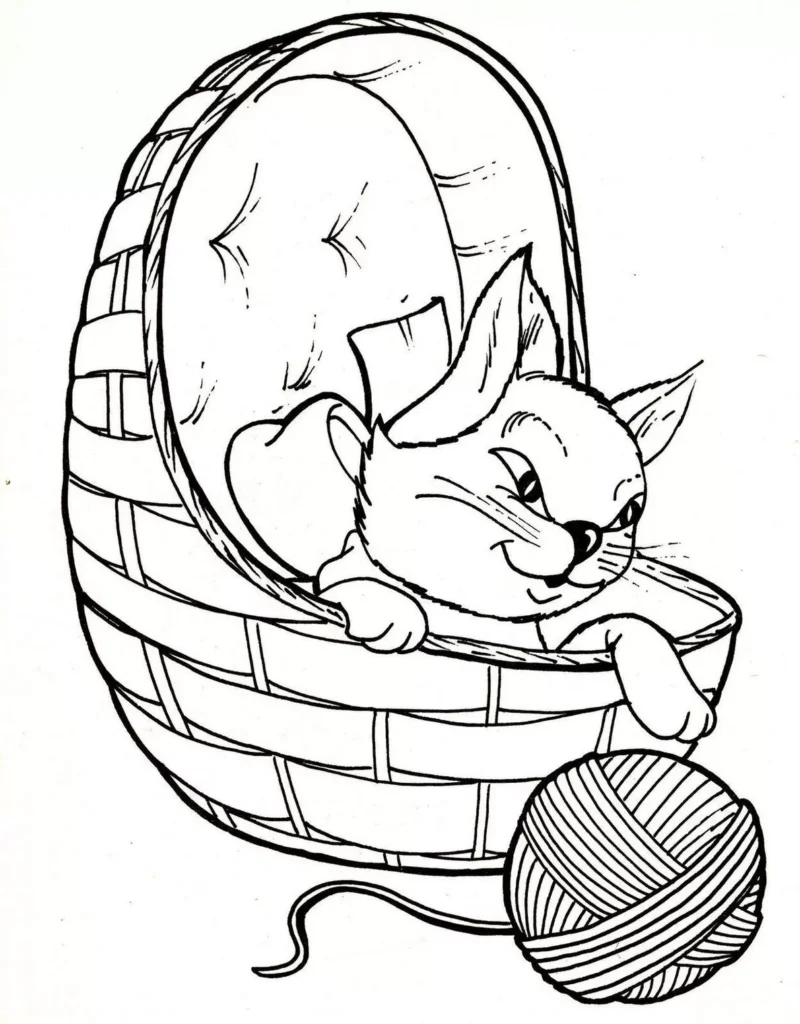 Gato bravo em cesto: Desenhos para colorir e relaxar com felinos astutos.