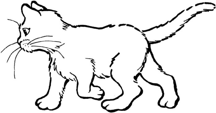 Gato caminhando: desenho detalhado para colorir e relaxar.