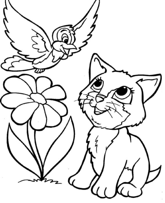 Desenho de gato observando passarinho e flor para colorir. Diversão garantida!