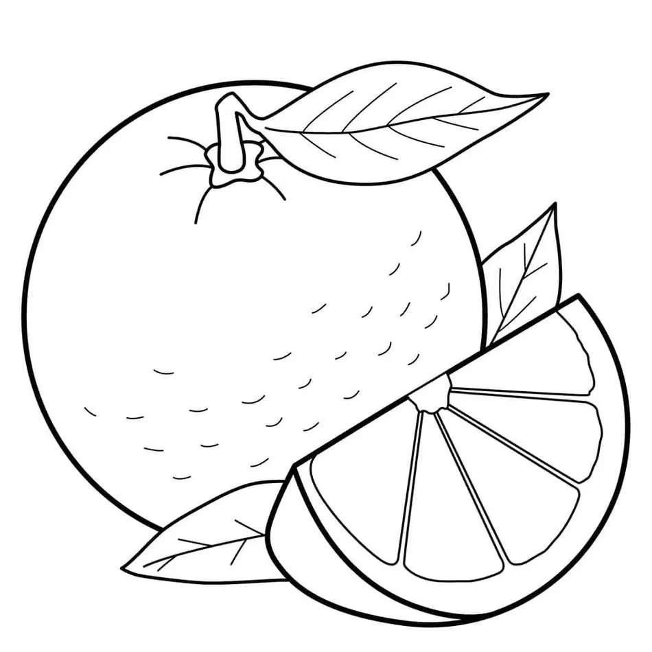 Laranjas para colorir: desenho de laranja inteira com folha e fatia